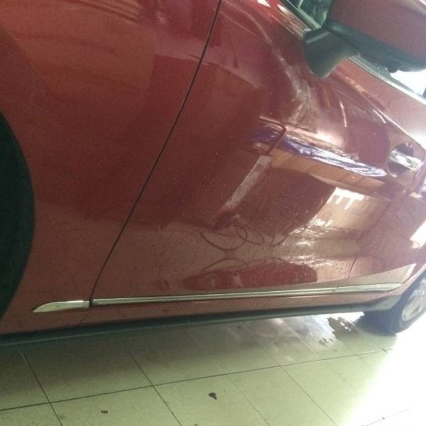 Chrome door protector