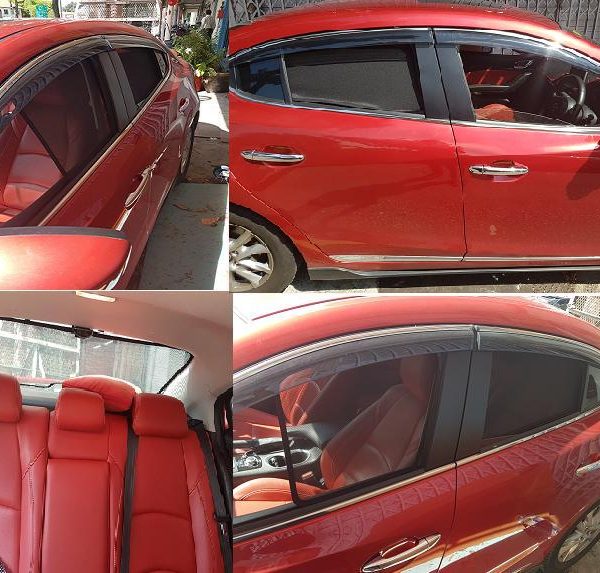 Custom Fit Sun shade