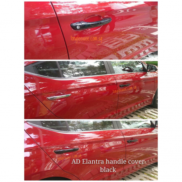 AD Door Handle Cover -1