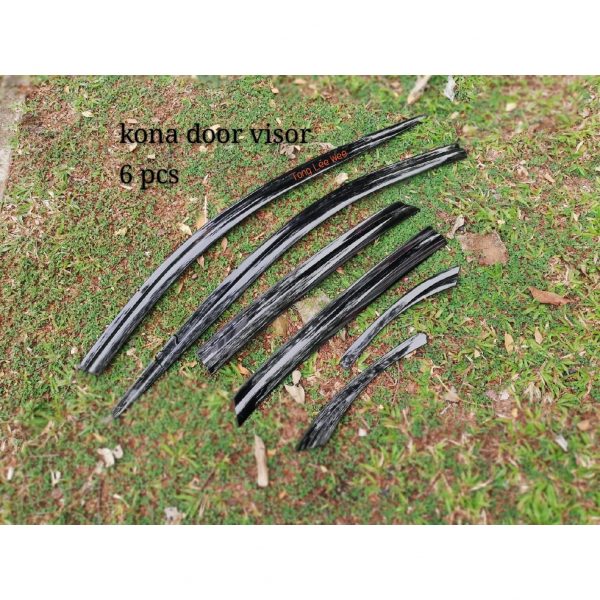 Door Visor